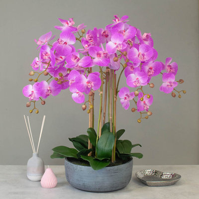 Polysilk Orchid Arrangement in Pot