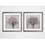 « fleurs of spring », ensemble de 2 reproductions d’art encadrées