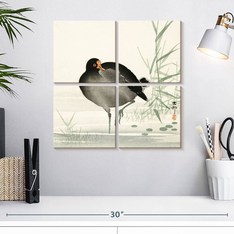 Brampt Moorhen, H 18 po x l 18 po