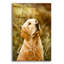 «Golden Dog» par John Silver-860373450