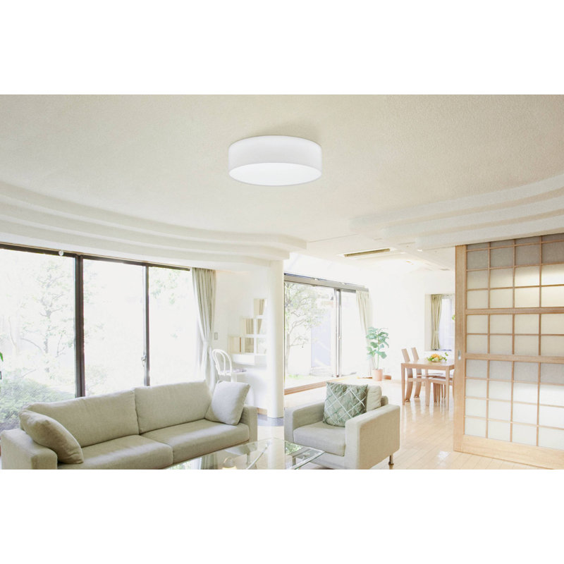 Hayse Accent, White