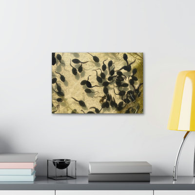 No Frame Print on Canvas