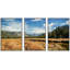 Photographie de paysage verdoyant, prairie jaune, forêt verte-102292138-102292141