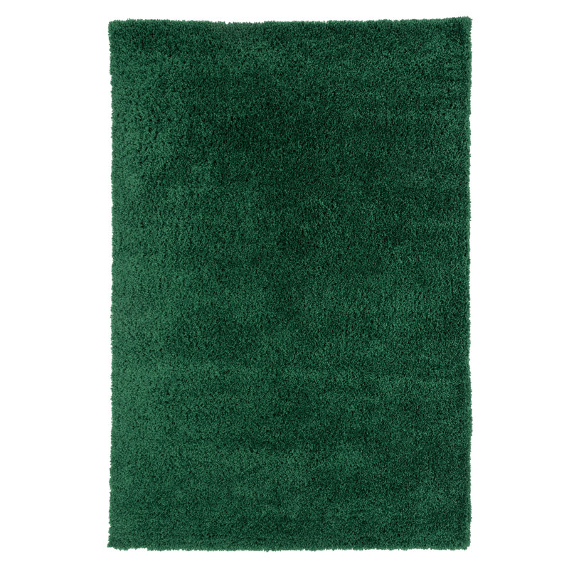 Durable Super Soft Shaggy Dark Green Rug, Rectangle 80 x 150cm