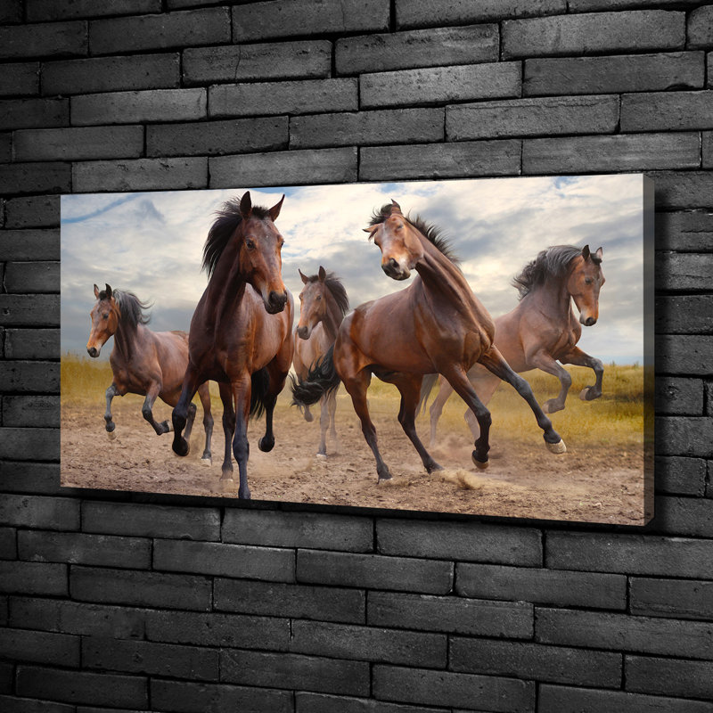 Five Horses - Print, Canvas, 50cm H x 100cm W x 2cm D