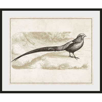 Bird - Single Picture Frame Print