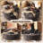 Nathasa Upholstered Boneless Compression Sofa Round Seating For Living Room, Bedroom, Home Theater-924376925