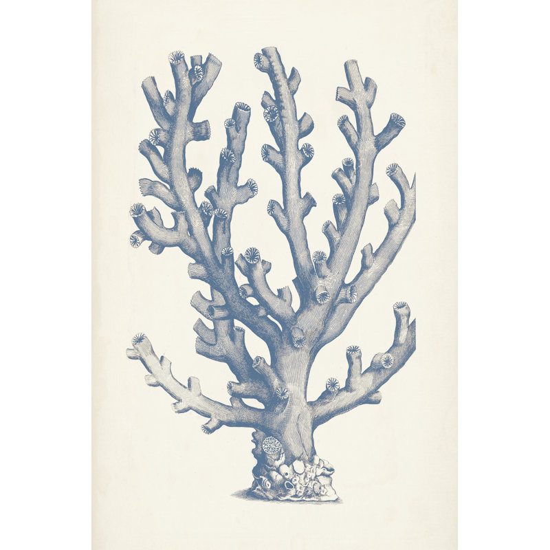 Antique Coral Collection VI - Print, 122cm H x 81cm W, Black Floater Framed