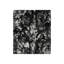 Erratic Print by Paul Ngo-26676691-26676697