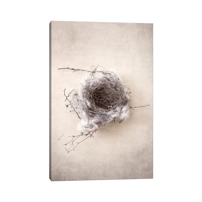 Nest III by Debra Van Swearingen - Wrapped Canvas Print, 101.6 cm H x 66.04 cm W x 1.91 cm D