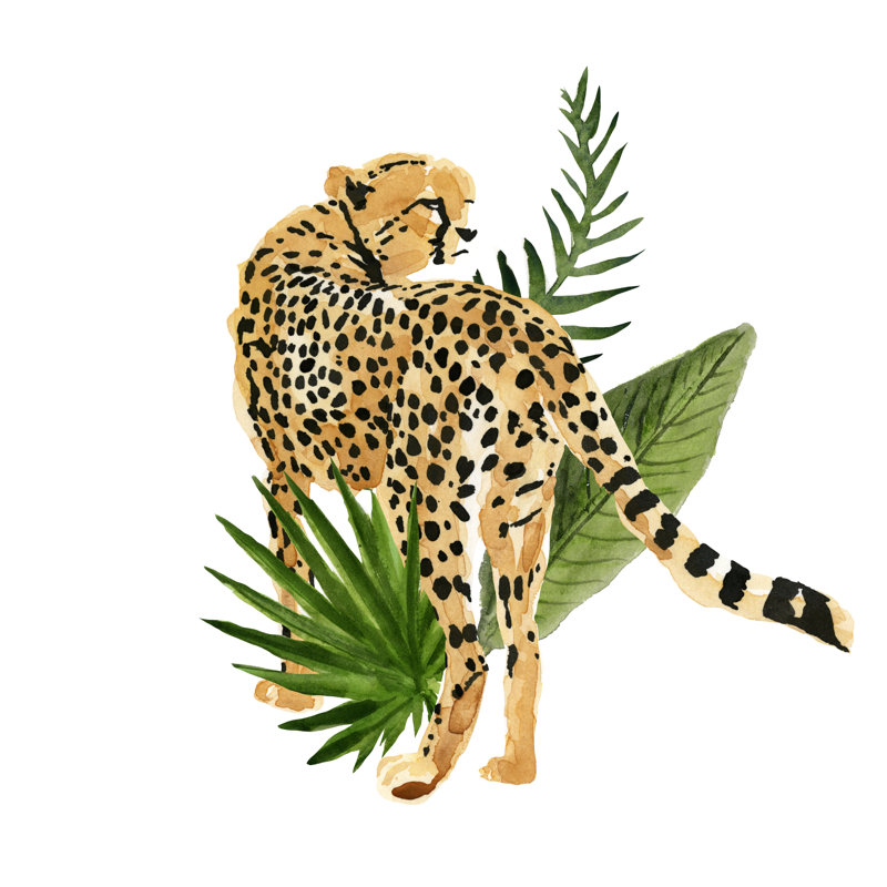 Cheetah Outlook III by Annie Warren - Wrapped Canvas Painting, 30cm H x 30cm W