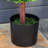 23.5'' Faux Boxwood Topiary in Pot-682903583