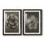 «Blossfeldt Flower III», ensemble de 2 reproductions de photos sur papier encadrées-1593793521-1593793533