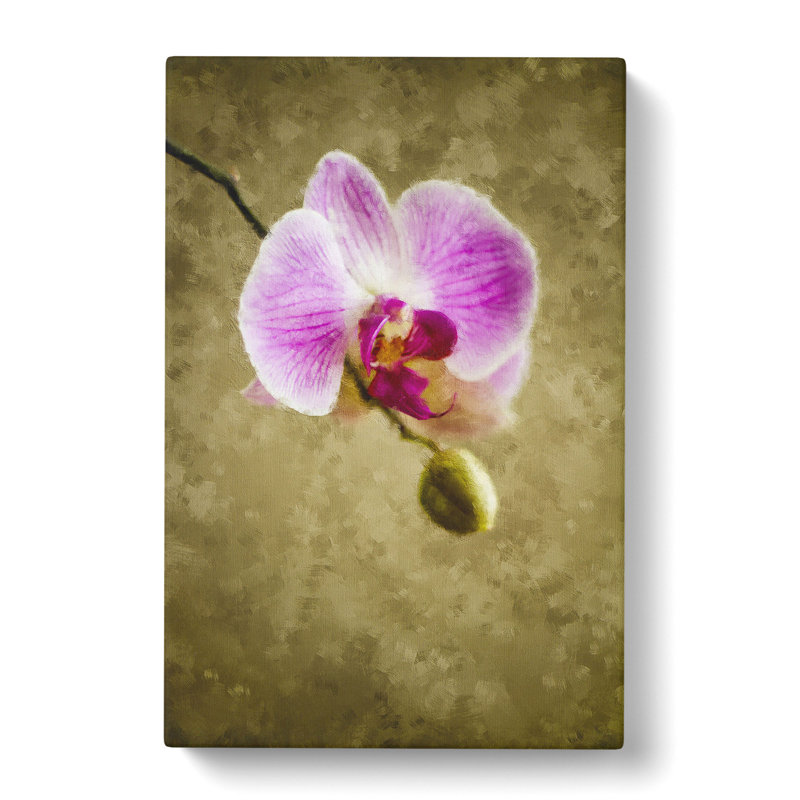 Orchid Flowers Vol.6 - Wrapped Canvas, 50cm H x 35cm W x 3cm D