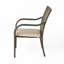 4 chaises d'extérieur empilables - Brun, résine, structure en fer, coussins d'eau, courbés, accessoires de patio 4 empilables, eau, espace