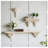 Wall Shelf