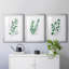 Freshly Picked I - Ensemble de 3 reproductions de cadres photo-456555364-456555362