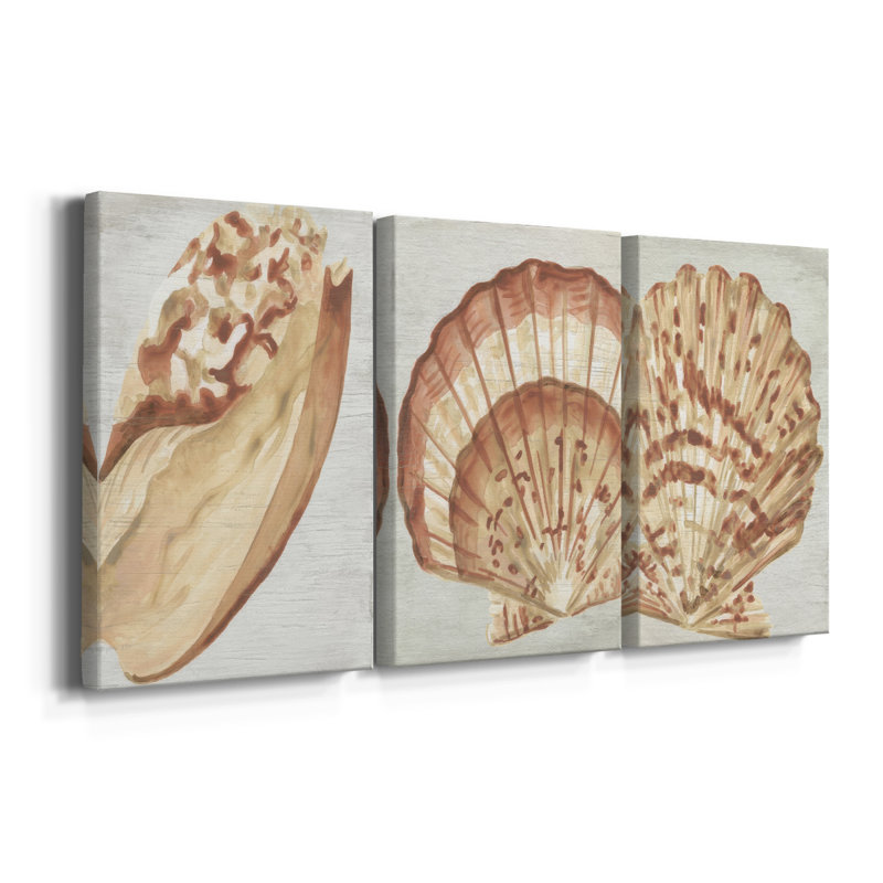 «Vintage Shell Vignette I», toile tendue sur mesure - 3 pièces, H 18 po x l 36 po
