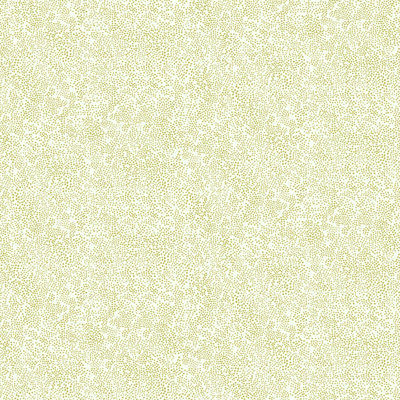Champagne Dots Wallpaper Roll