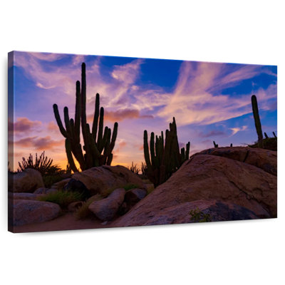 Harnek Aruba Island Cactus