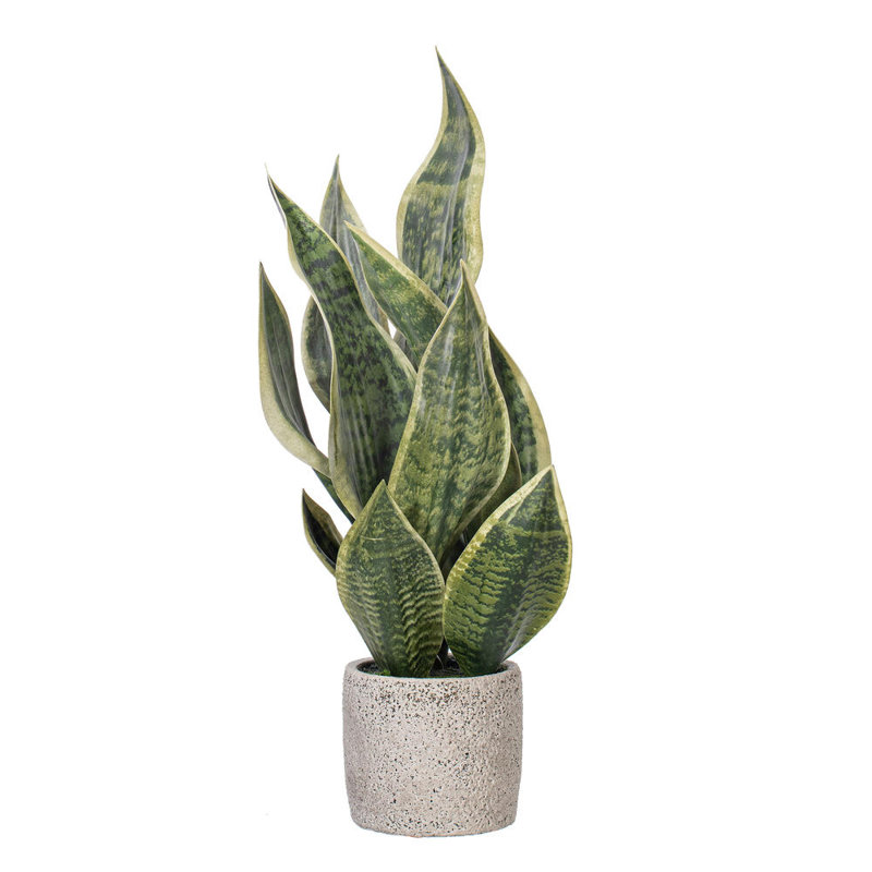 Faux Snake Plant Plant in Cement Artificial