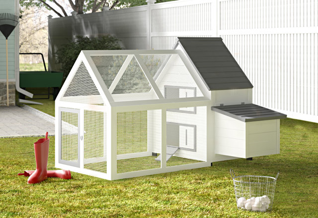 Medium-Sized Chicken Coops