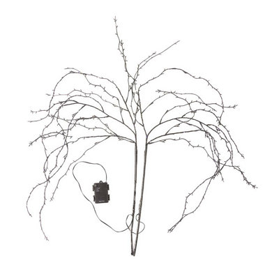Arbres et branches éclairés