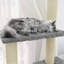 Ruislip 155cm H Cat Tree-1482694972