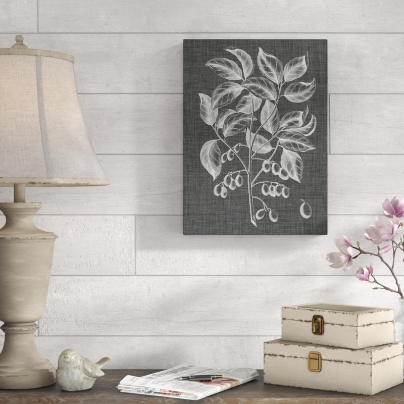 «Graphic Foliage V» par Vision Studio - reproduction de dessin sur toile, H 19 po x l 14 po x P 2 po