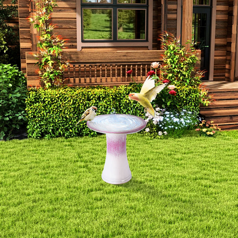 Bain d'oiseaux de jardin en céramique avec motif dégradé de roses, fonctionnel et décoratif, bain d'oiseaux 17,12 x 17,88 pouces, patio, cour, effet, stable