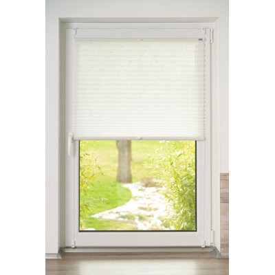 Transparent Pleated Blind