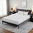 Felsenthal 12'' Medium Gel Memory Foam Mattress-1029352906
