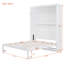 Grand lit escamotable mural avec tablettes, blanc-440292678-440292683