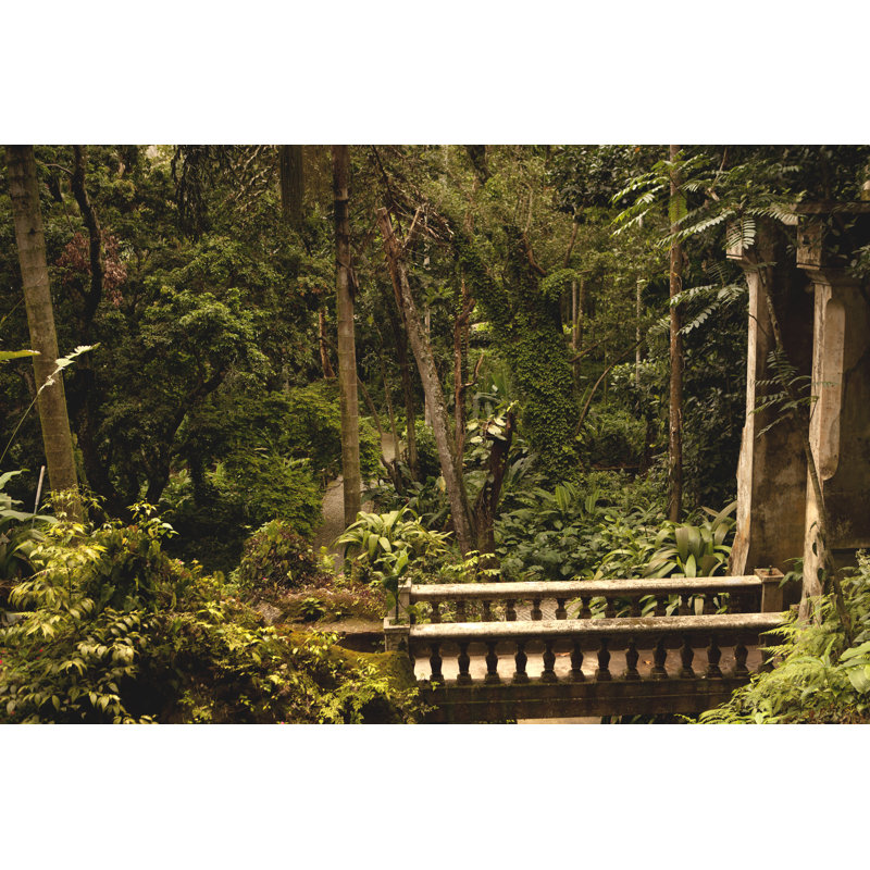 Botanical Garden In Rio De Janeiro by Zxvisual - No Frame Art Prints on Canvas, 61cm H x 91cm W