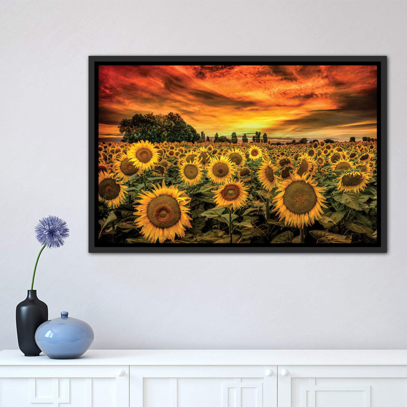 «Tuscany Sunflowers Field» - reproduction, H 18 po x l 26 po x P 1,5 po, Toile avec cadre noir patiné