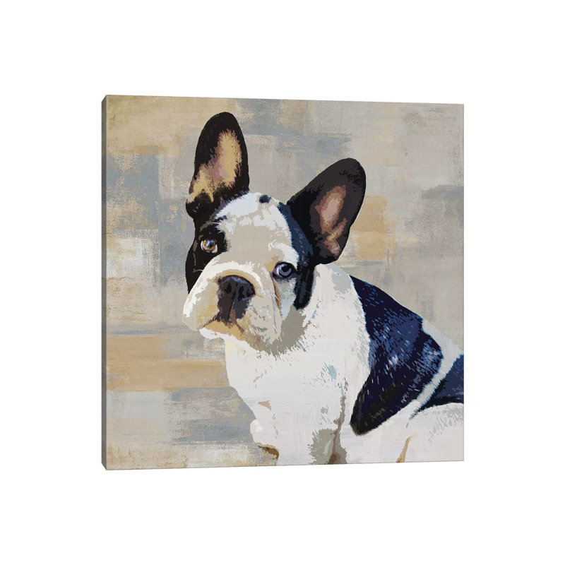 French Bulldog by Keri Rodgers - Wrapped Canvas Print, 45.72 cm H x 45.72 cm W x 3.175 cm D