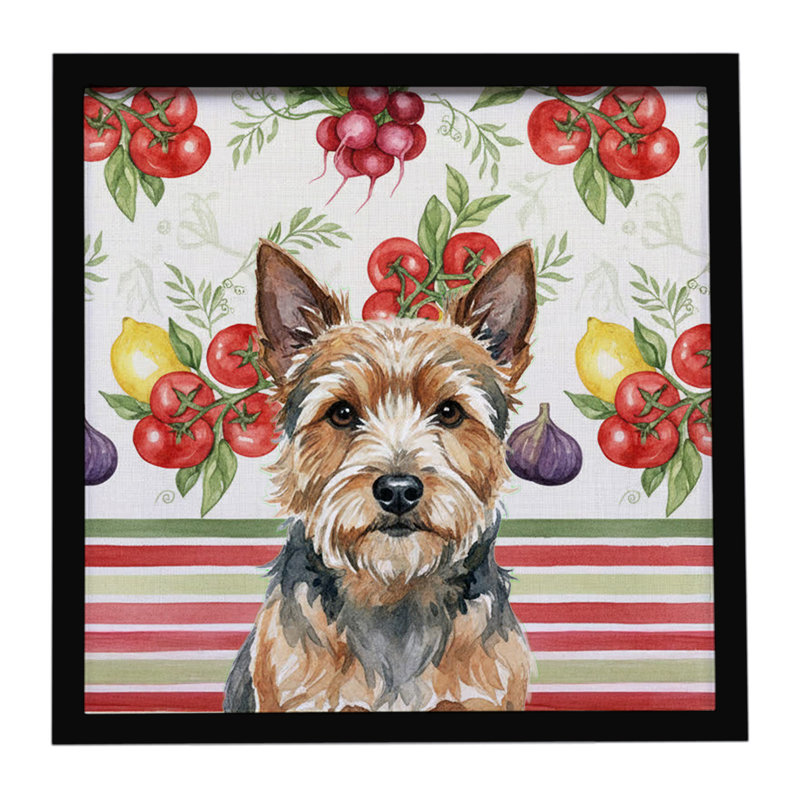 Norwich Terrier Légumes, impression sur métal encadrée