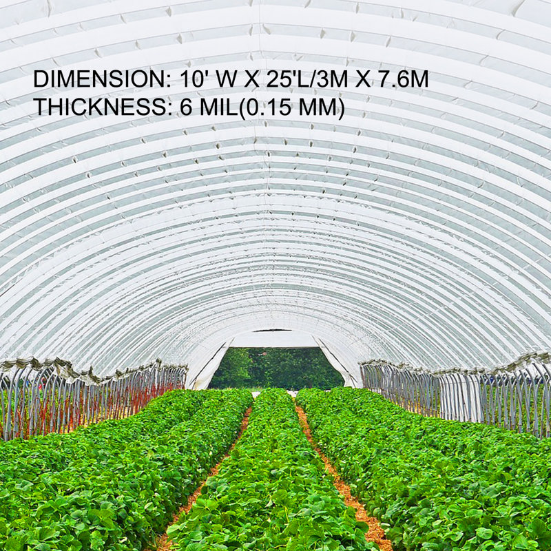 Greenhouse Shade Cloth and Cover, 0.03cm H x 304.8cm W x 762cm D