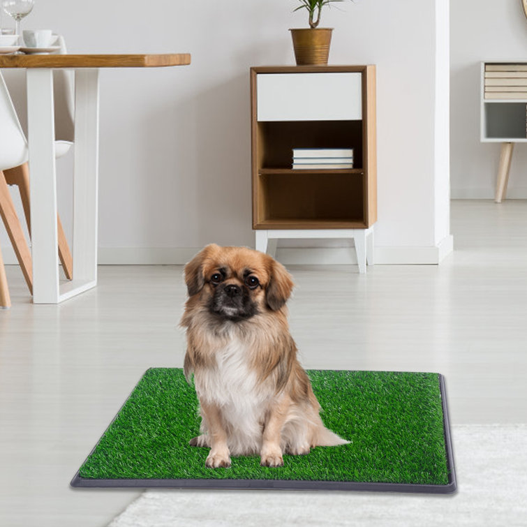 Tucker Murphy Pet™ Dog / Puppy Toilet With Artificial Grass-25*20