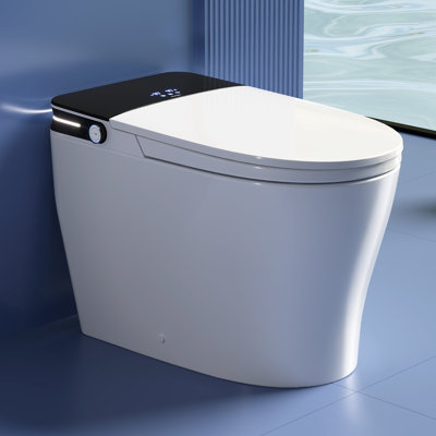 DeerValley Elongated Smart Bidet Toilet: MaP 1000g Rated, 1.28 GPF High Efficiency, Foam Shield and Pump Assisted Flush in White