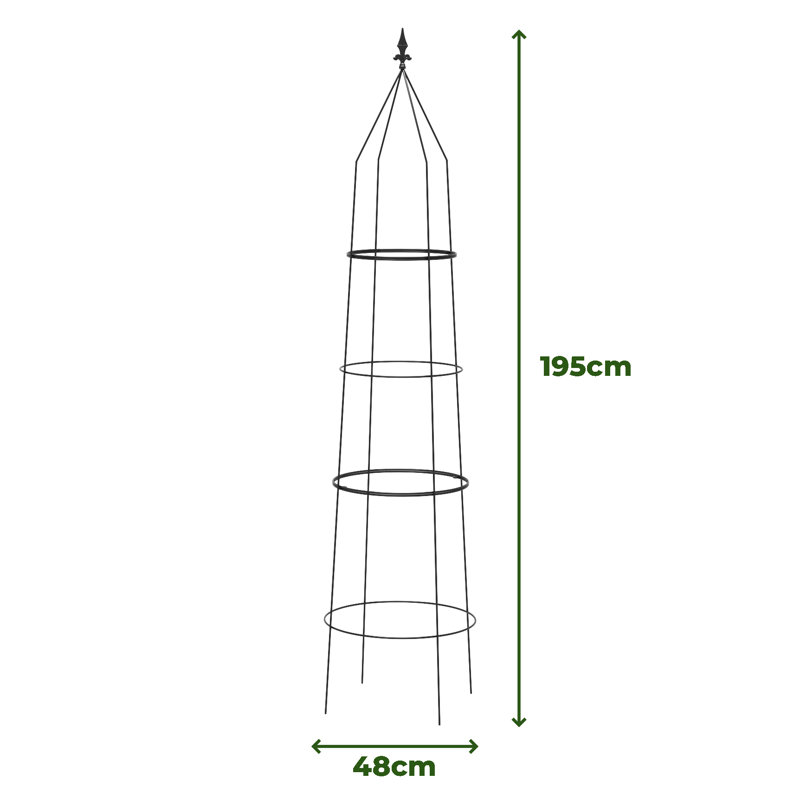 Ardiana Metal Plant Support, 195cm H x 48cm W x 48cm D, 2, Black