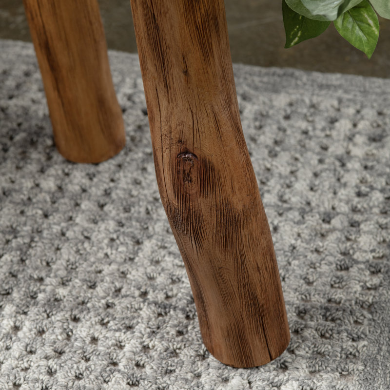 Bayur Wood Live Edge Brown End Table