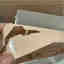 Photos des clients 2 de 2