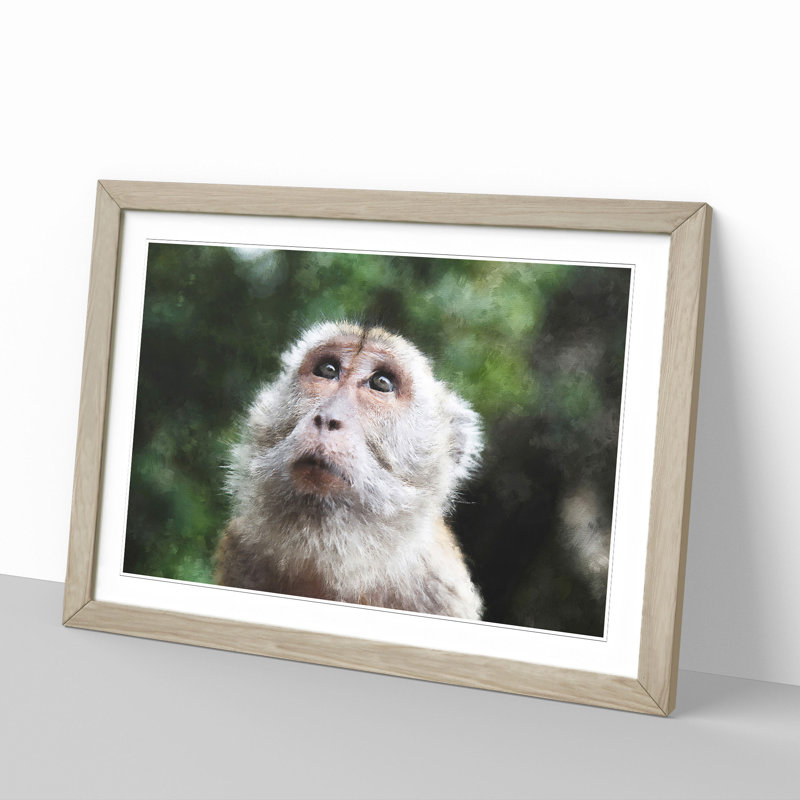 Macaque Monkey - Framed Print, Oak Framed, 48cm H x 65cm W x 2cm D