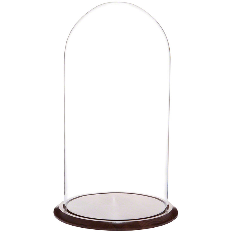 Vucciria Glass Display Dome Cloche, Walnut Base, 20" H x 9.75" W x 9.75" D