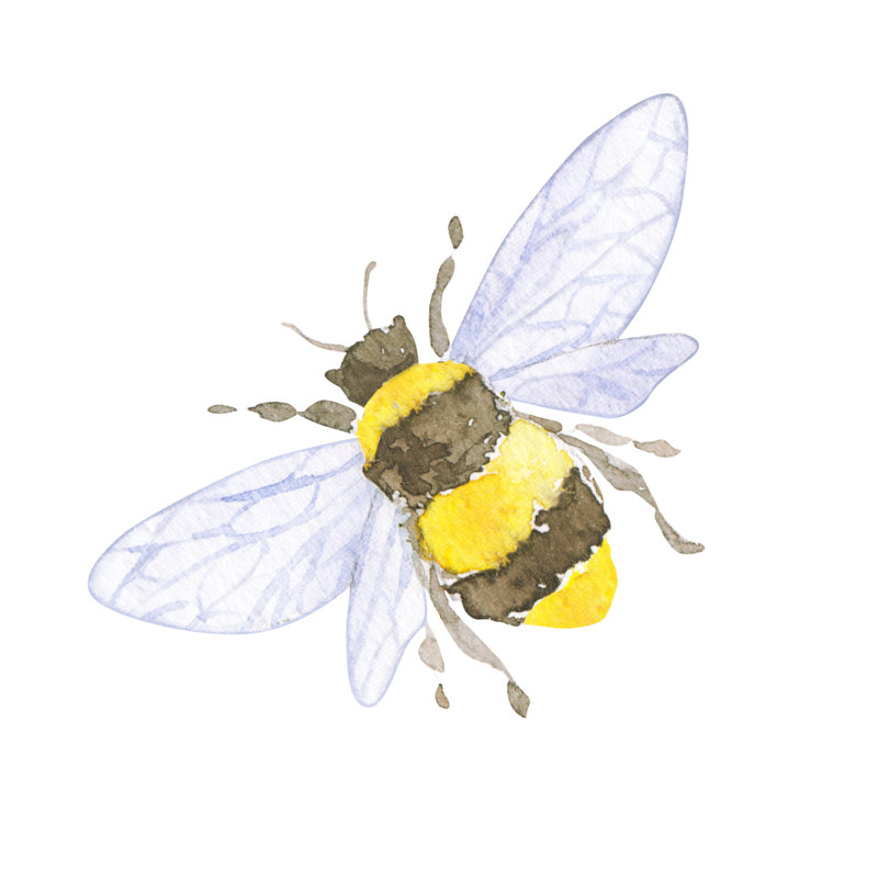 Niki Little Bee by Anastasiia Makarenkova - Wrapped Canvas Painting, 122cm H x 122cm W x 3.8cm D