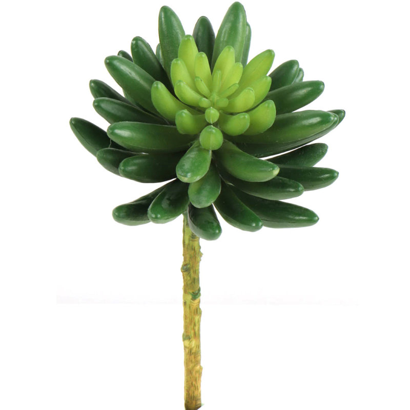 Mims Faux Sedum Succulent