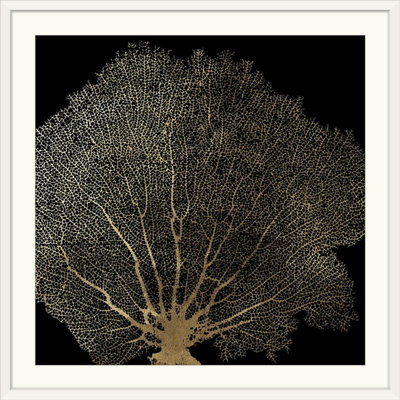 « ii », impression Honeycomb Coral