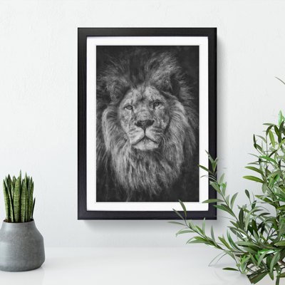 View of a Lion - Framed Print