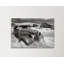 Wall Art on Canvas-1642888533